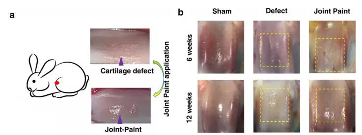 浙大研发新型涂层材料,浙大新型保温涂料