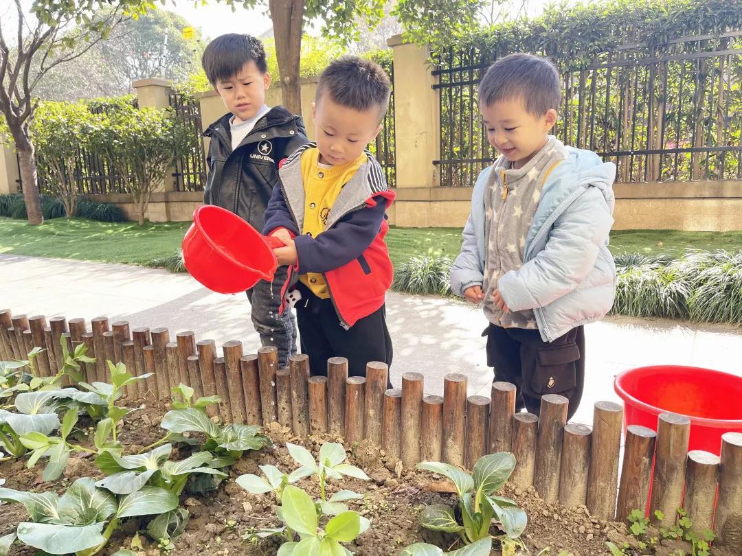 能干的小手——诺亚舟海宁市庆安幼儿园小二班