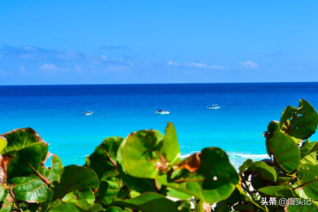 一年四季有哪些传统节日,圣诞节是哪个国家的传统节日