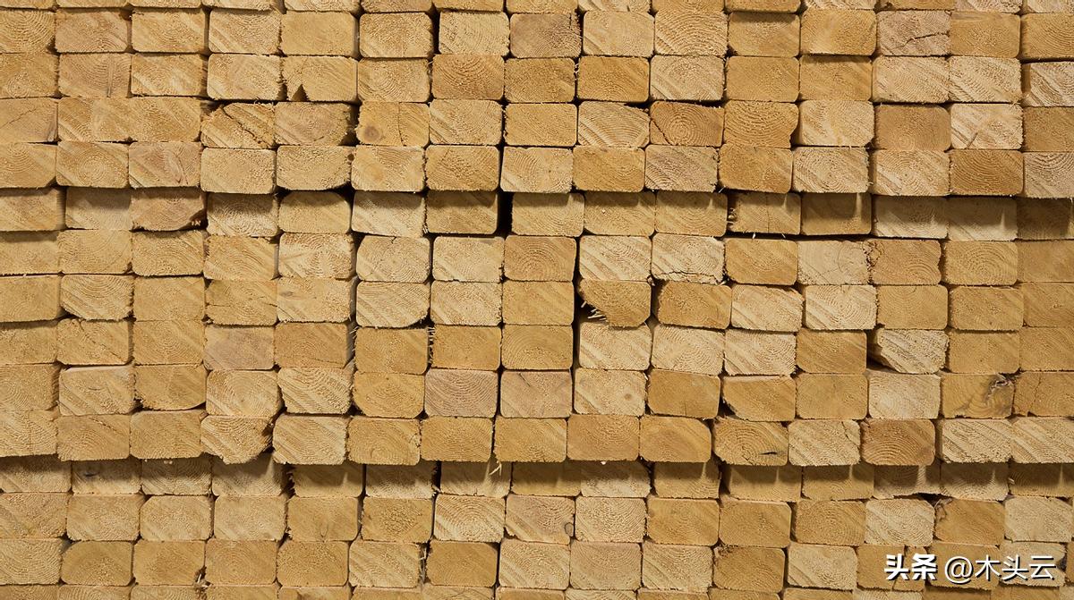 瑞典森林木材价格,能源短缺欧洲木材价格直线飙升