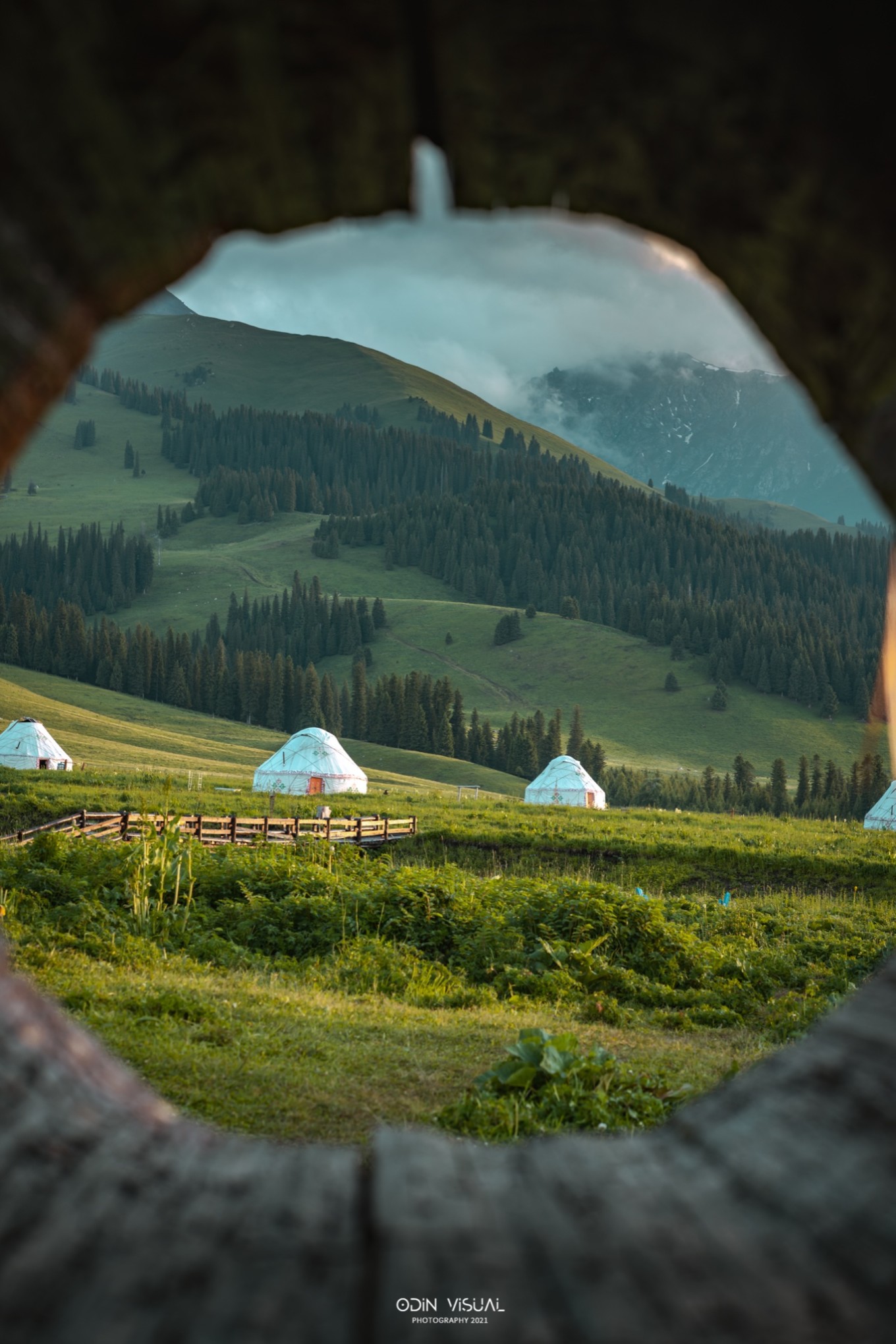 新疆伊犁之美,走了一圈才发现世界万物远不及你