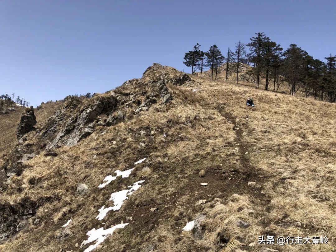 首阳山穿越大坪梁景色怎么样,大坪梁穿越到首阳山攻略