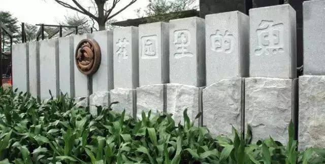 大山里捡回来的石头,大山里的石头块