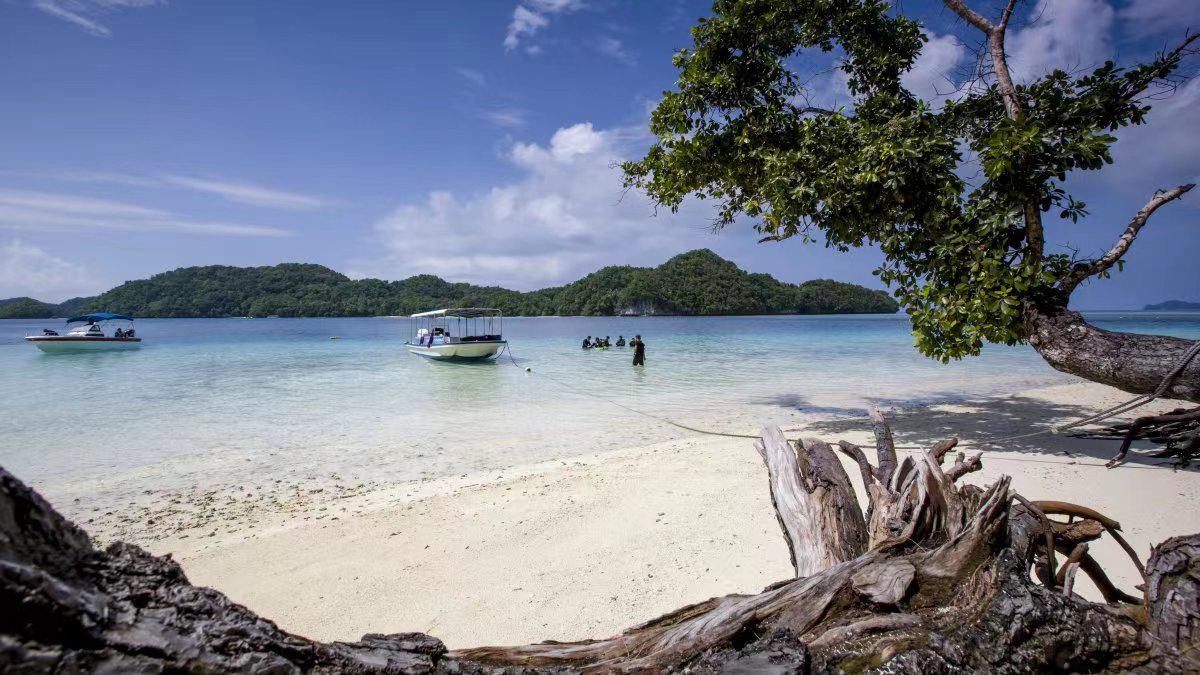 帕劳水上飞机旅游,帕劳旅游攻略厦门