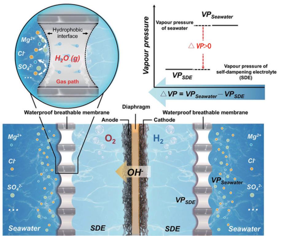2022年中国重大科学、技术和工程进展|科技导报