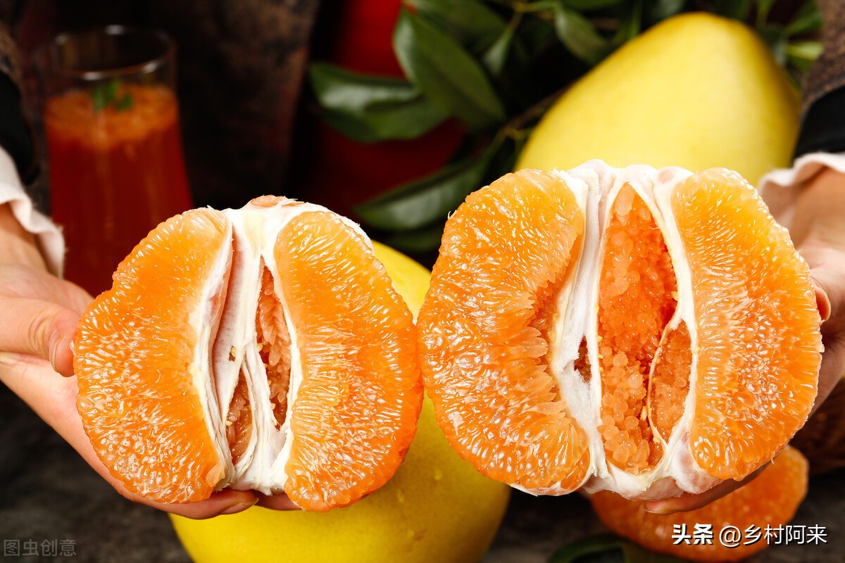 什么品种的柚子皮薄又大又甜,适合院子里种的柚子优良品种