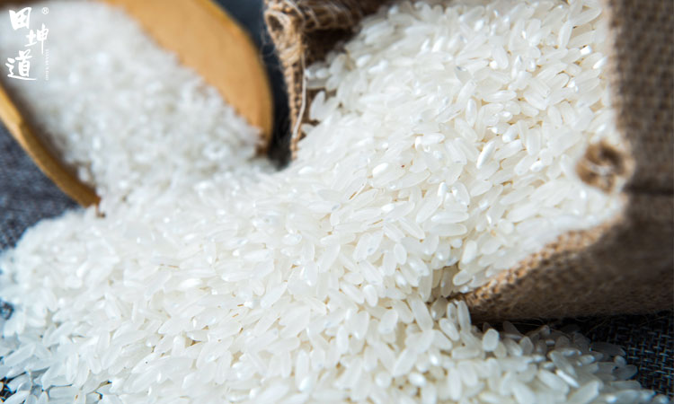 田坤道大米的价格表,田坤道粮油有多少加盟店