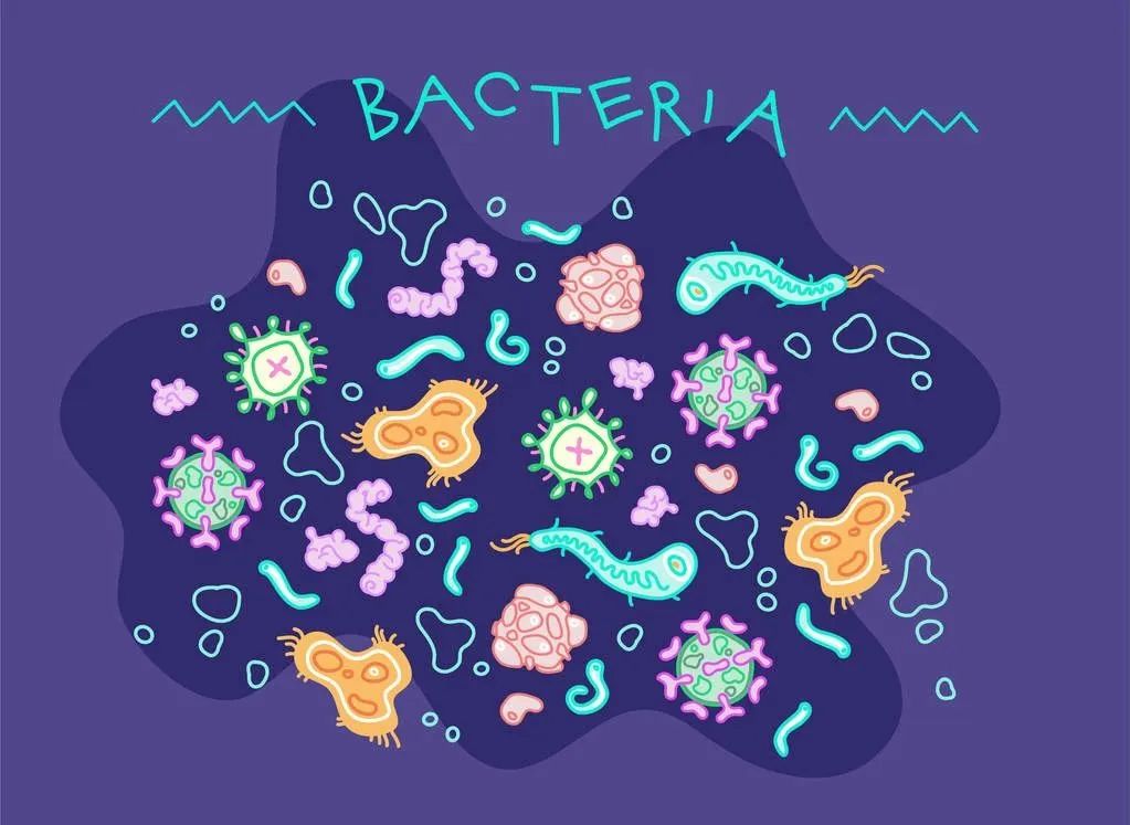 卡戴珊大卖智商税软糖,吃了能让*体下**变甜?