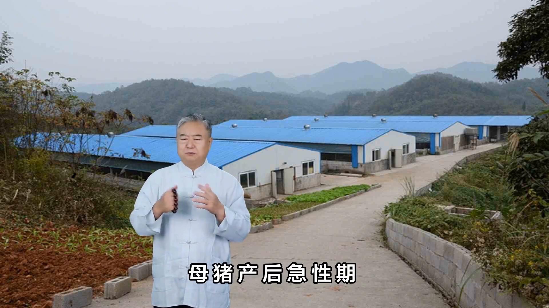 母猪子宫炎能引起母猪流产吗,母猪子宫炎如何防治