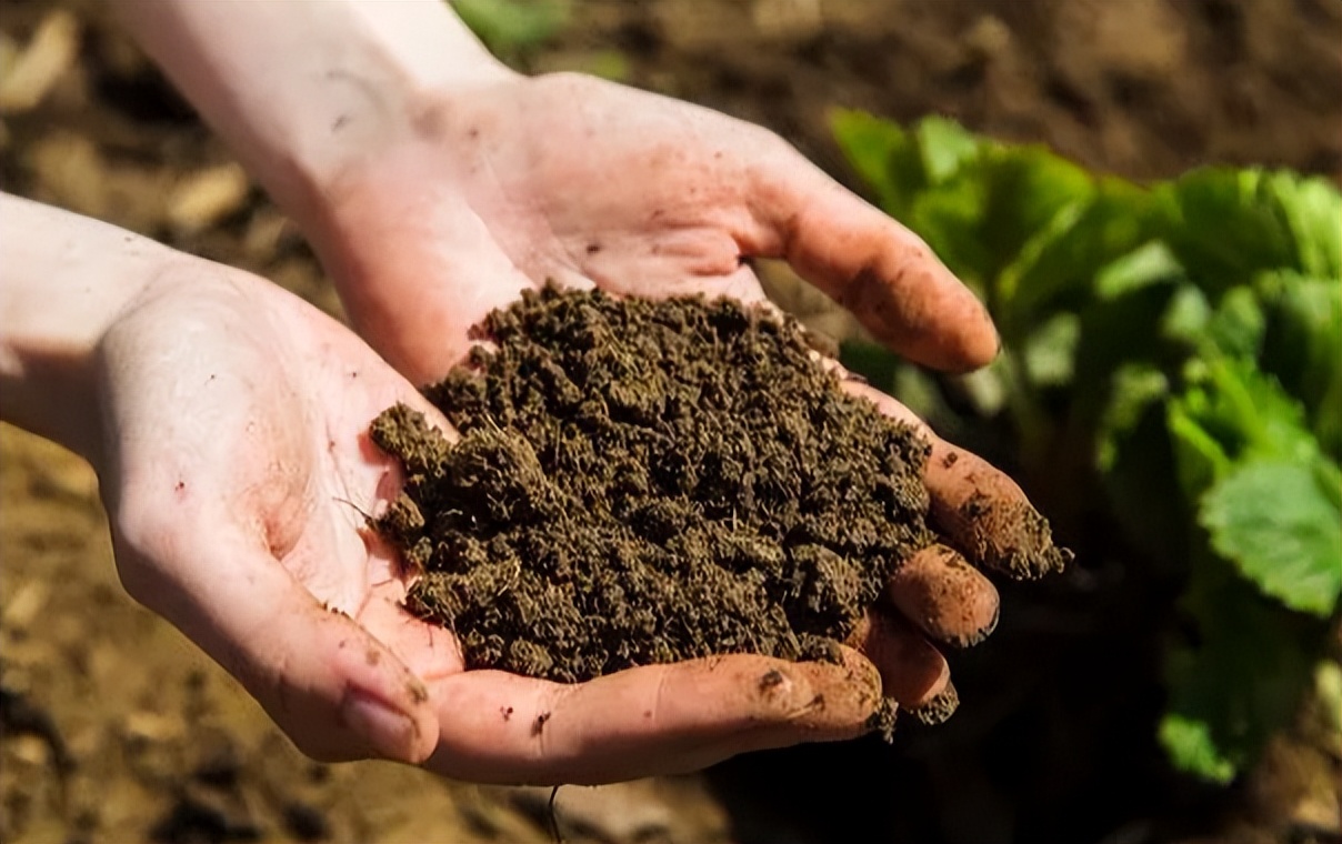 农业扶贫的正确方式,农业技术方面对扶贫的帮助