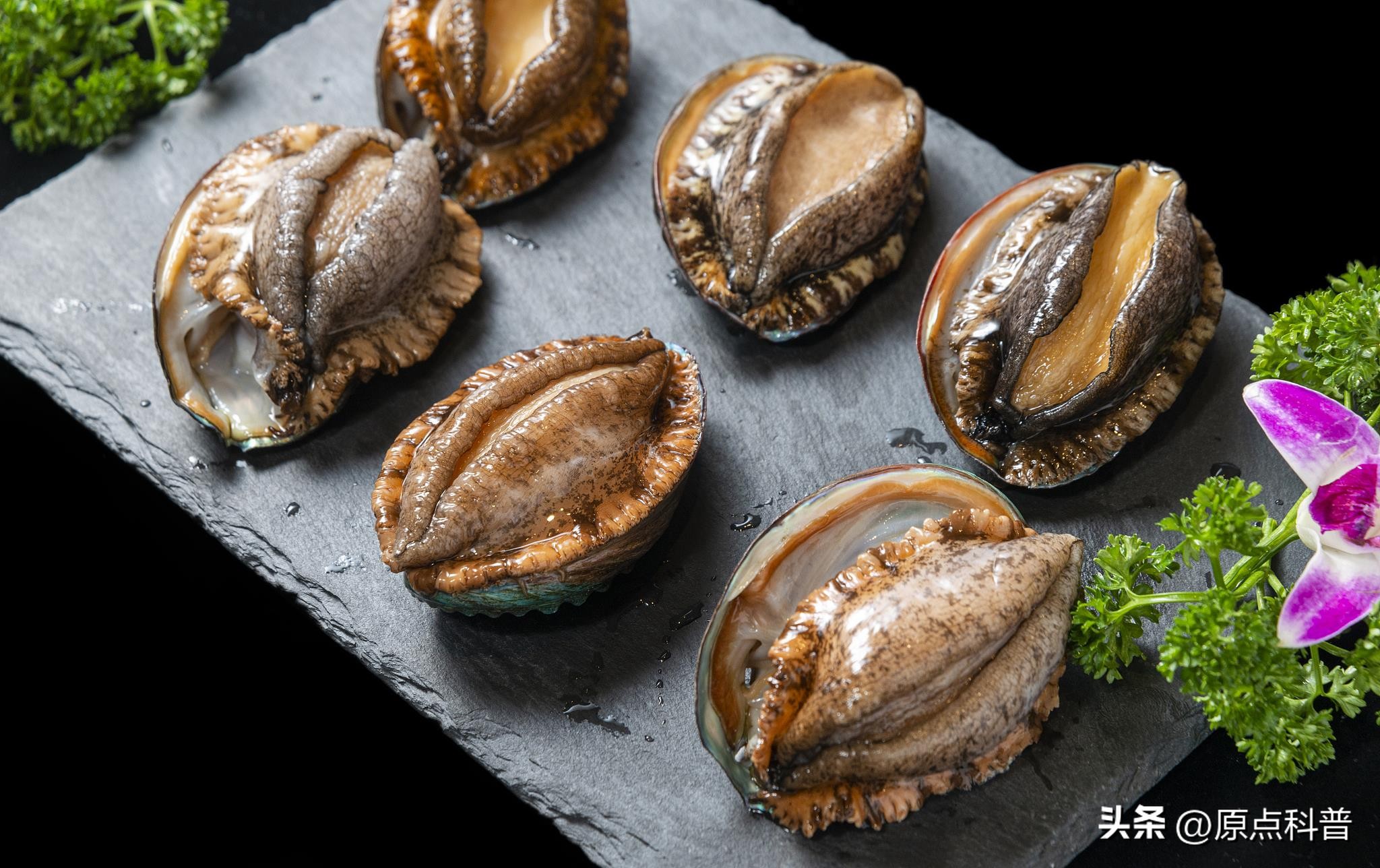 全球十大海鲜城市排名,看大海吃海鲜有哪些地方