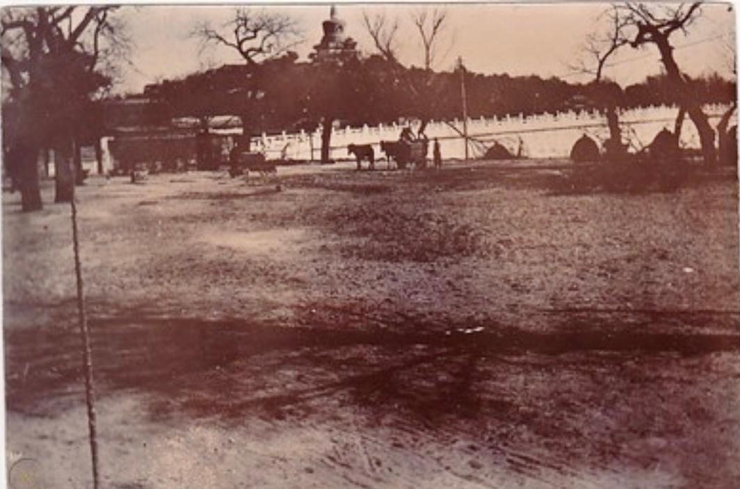 老照片里的汉奸,两个女汉奸与日寇合影