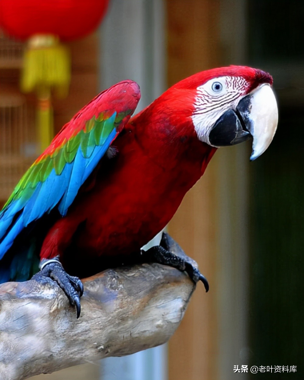 06年奥迪a62.8quattro四驱,二手奥迪a6建议买2.0还是2.5