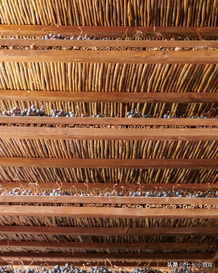 阿玛罗尼红酒值得拥有吗,意大利最具代表性的红酒