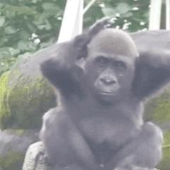 中年男人的微信昵称好听又霸气,2022年中年男士微信昵称