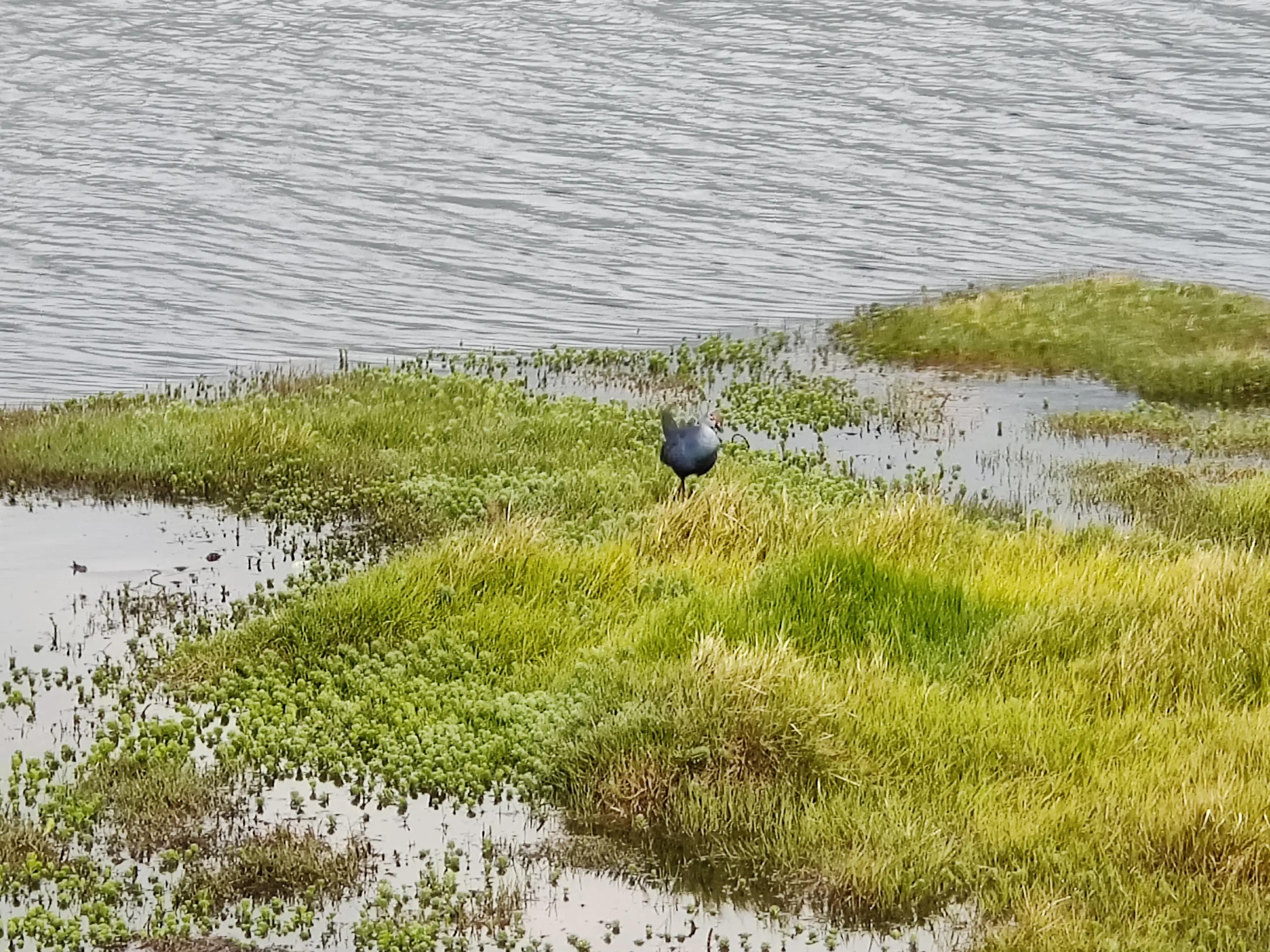 流浪生活27天视频,流浪36天云南腾冲