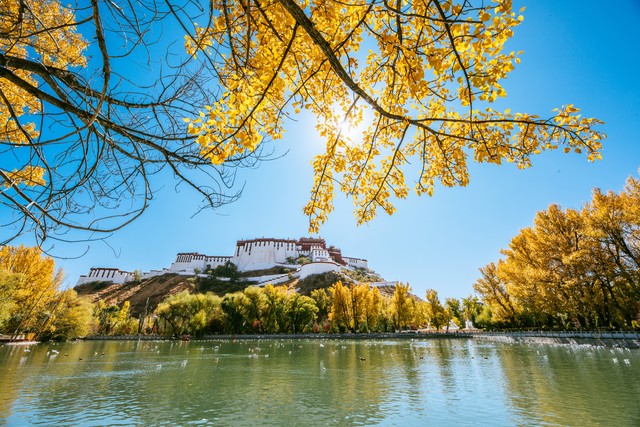 布达拉宫拉萨写真馆推荐,布达拉宫拉萨官方订票系统