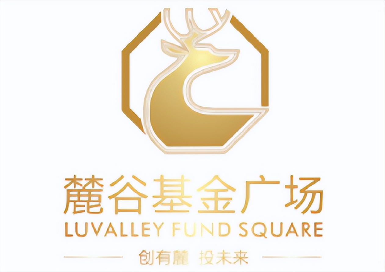 我要投资节目第一季,我要投资