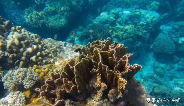 旅行团无人海岛,海岛旅游团自由行