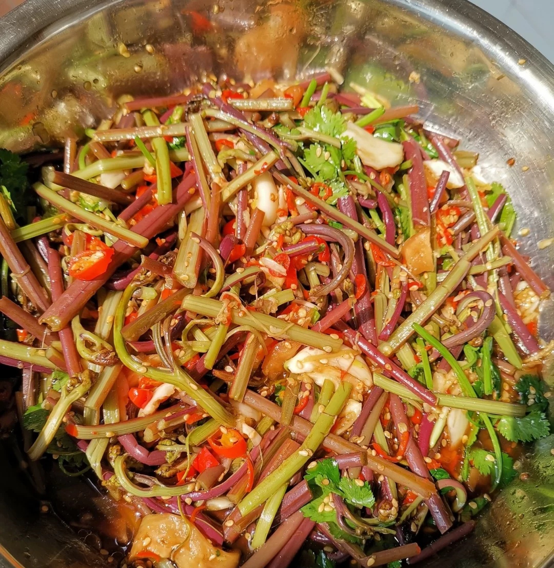 100种野菜大全图解,认识100种野菜视频大全完整版