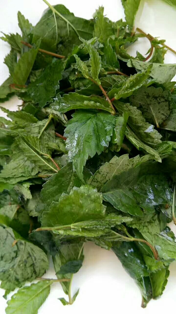 外婆的味道,外婆的味道幸福的味道