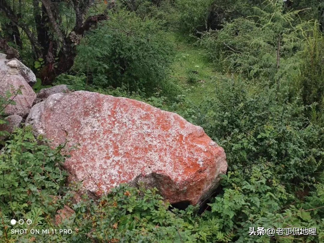 川西大环线马尔康线路推荐吗,川藏317阿里大环线地图及攻略