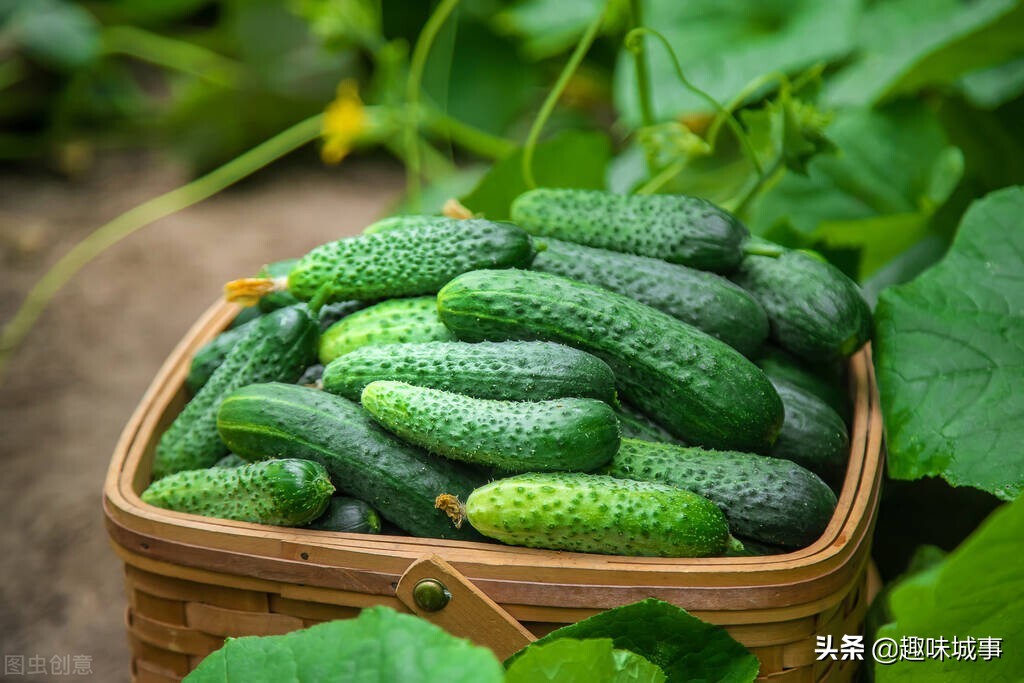 喝什么牛奶可以美白又不会变胖,美白有效方法吃的或喝的