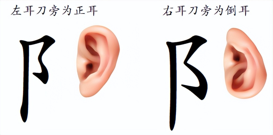 注意字势结构和笔画的粗细变化,规范字笔画书写特点及形态之美