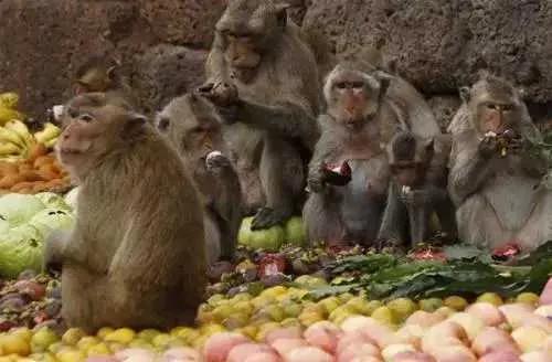 你不知道的国家冷门知识泰国,泰国旅游你不知道的那些事