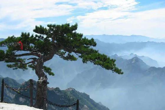 华山惊险一日游,八小时游遍华山