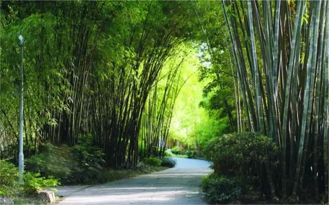 鎴愰兘鏈涙睙鍏洯鍦板潃,鎴愰兘鏈涙睙鍏洯鎾炰笂娌冲牑闄姢浼ゅ憳