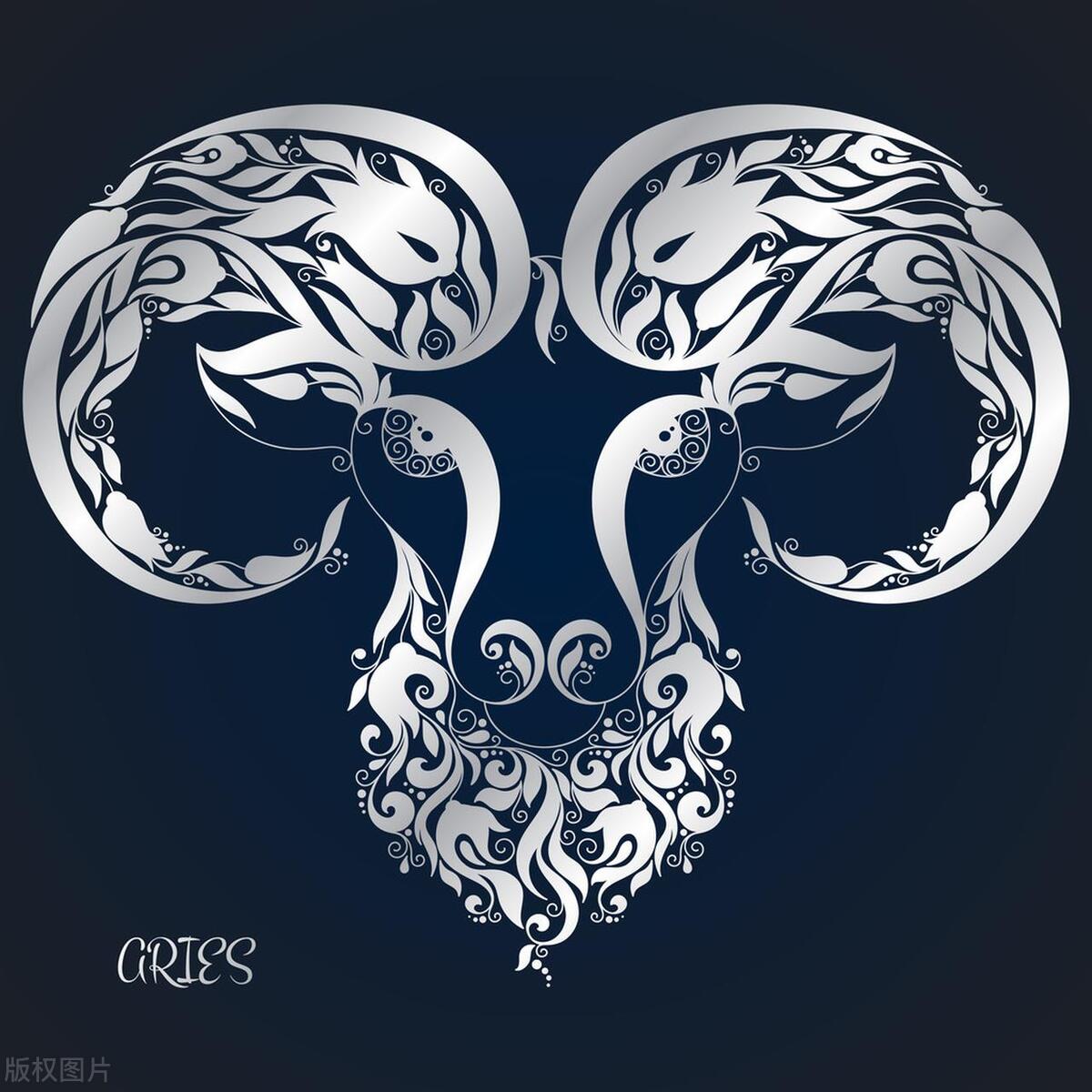 哪个星座最迷人最受欢迎,不打扮就很迷人的星座女