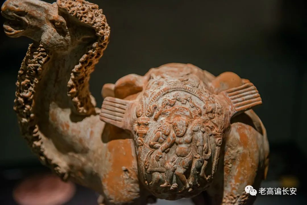 陕西考古博物馆几点放号,陕西考古博物馆门票预约