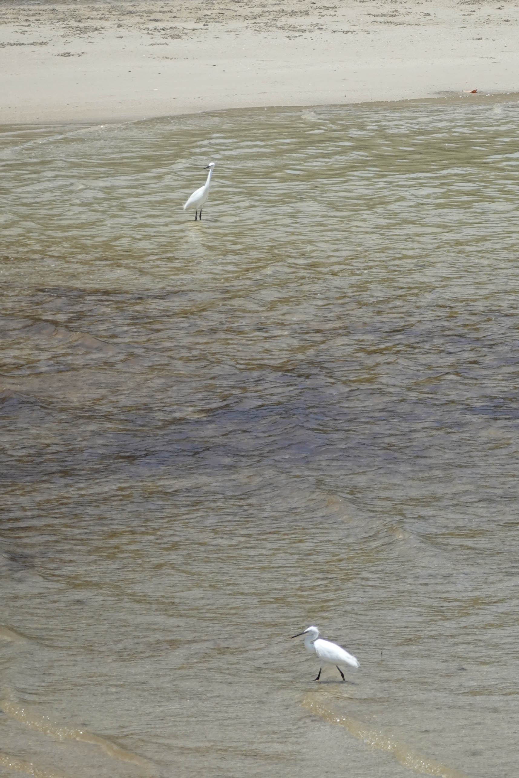 泰国物价为什么那么贵,泰国为什么越来越贵