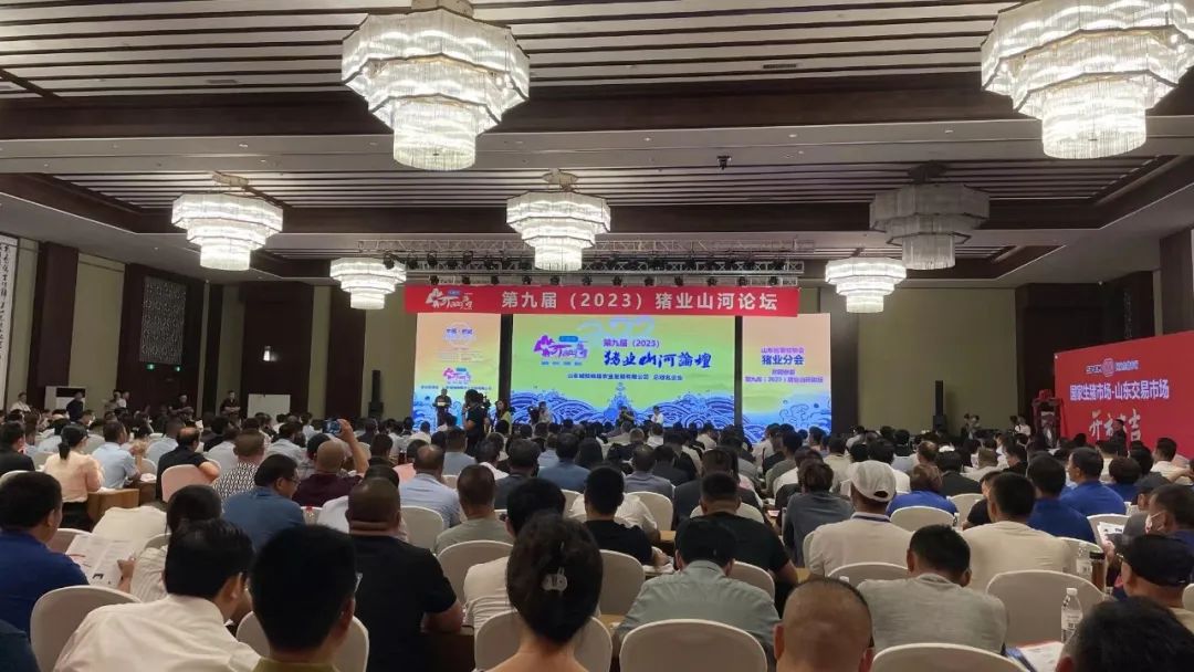 生猪行业大会,全国猪业大会论坛