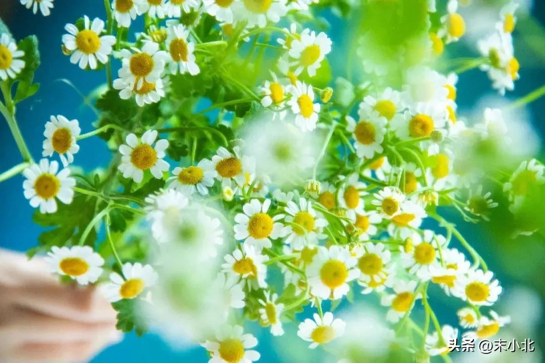 人到中年应该控制欲望享受孤独,人到了中年一定要懂得控制欲望