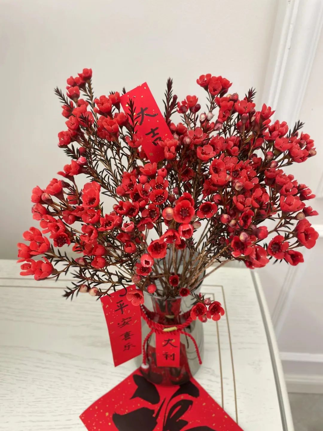 家庭招财植物摆放禁忌,家里适合摆放什么招财的植物