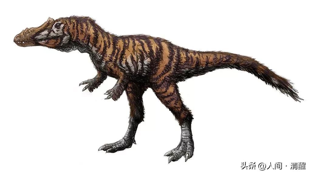 游星方舟奇怪的恐龙,世界上最奇葩的恐龙是什么恐龙