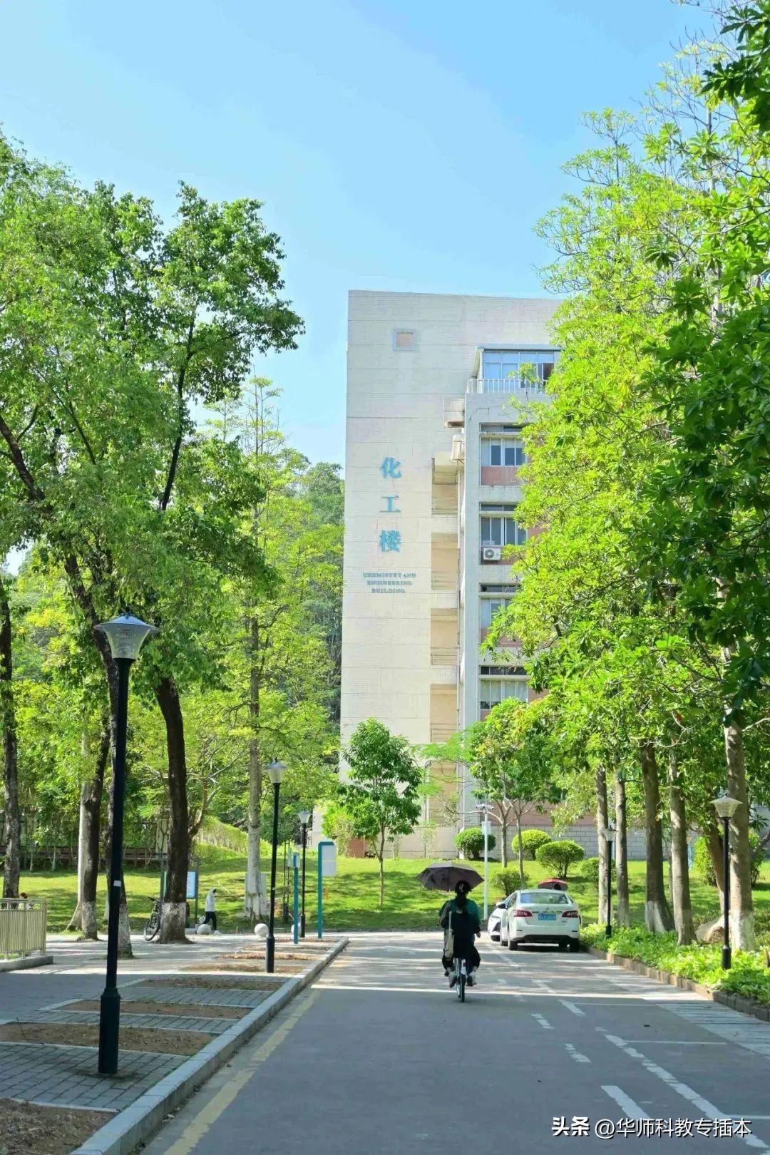 318分可以读什么学校,318分能上哪个学校广西