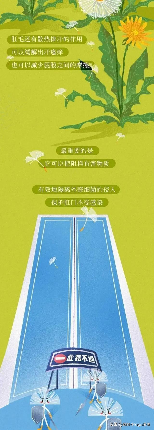 为什么肛门周围也会长“毛”？如果刮掉会怎样？（漫画）