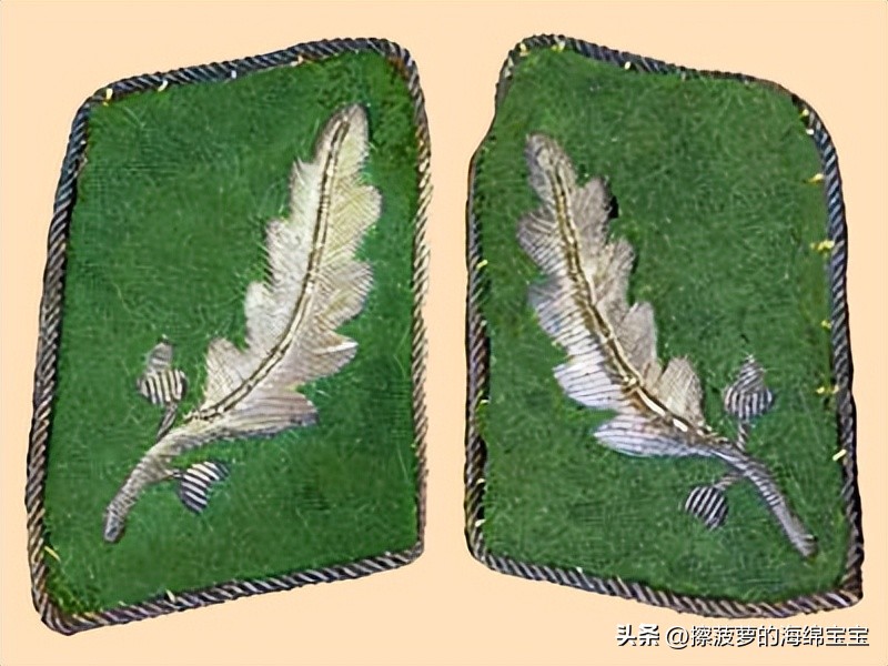 纳粹冲锋队用的什么枪,纳粹德军军衔图解