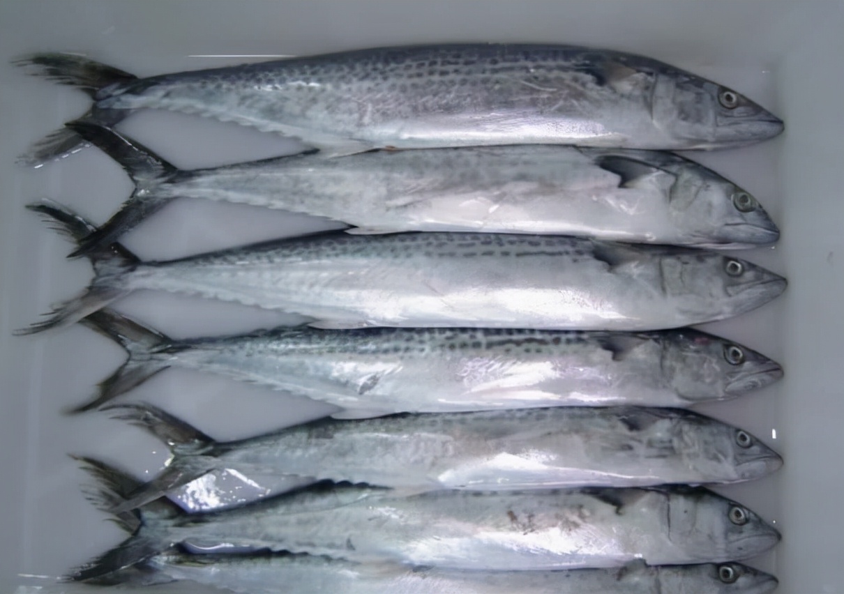 最常见的50种食用鱼吃法和价格,十种常用食用鱼类介绍