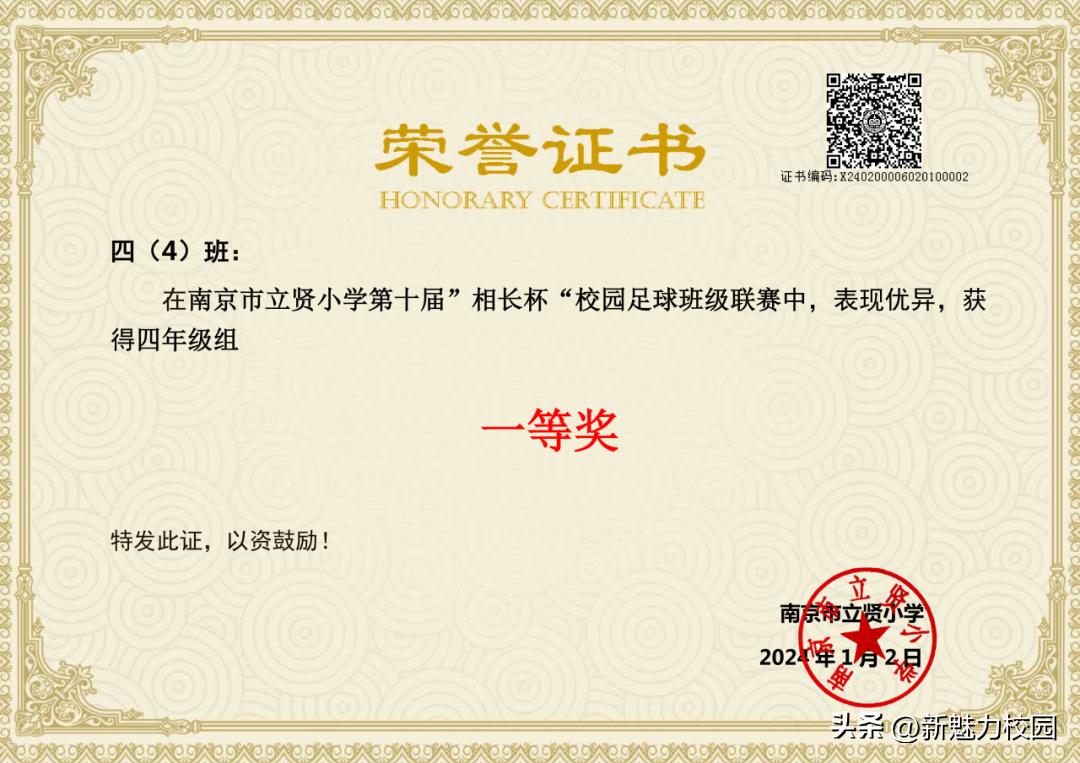 南京市晓庄小学校园足球联赛,区长杯小学校园足球联赛