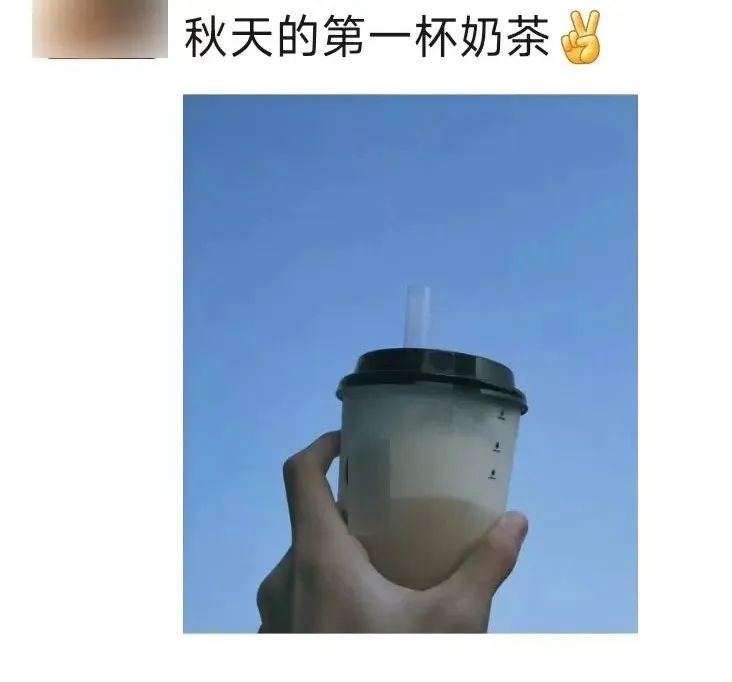 百日行动网络诈骗破案,上海侦破奶茶加盟诈骗案
