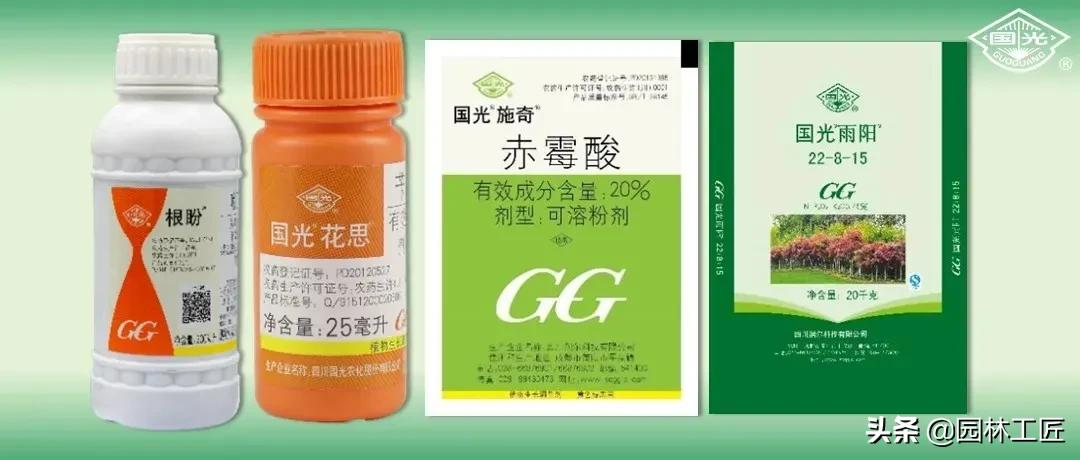 草坪冬季养护工作,北京地面越冬耐寒草坪