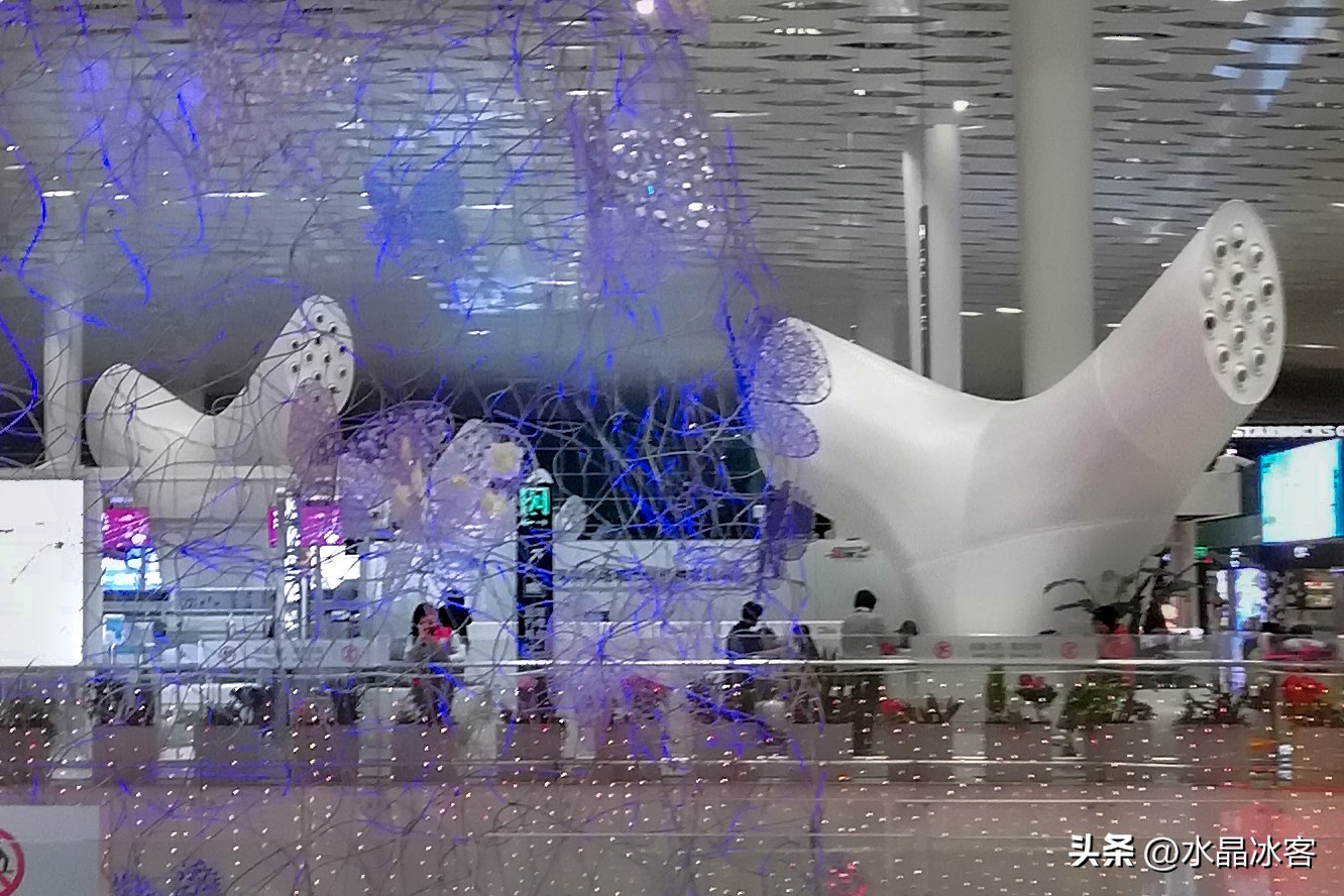 南岛新西兰之旅,新西兰之南岛