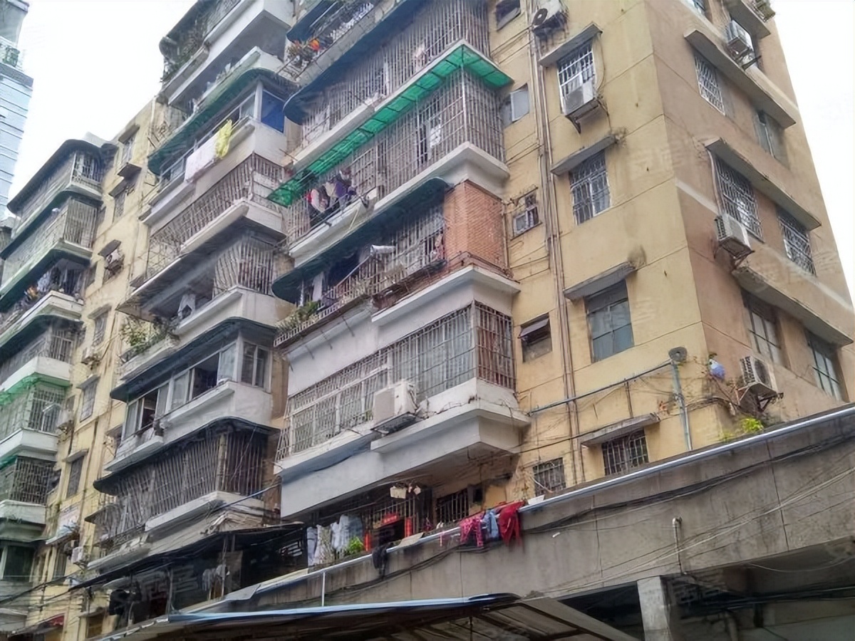 粤剧、醒狮、武术、科技……TA有39个宝藏社团？