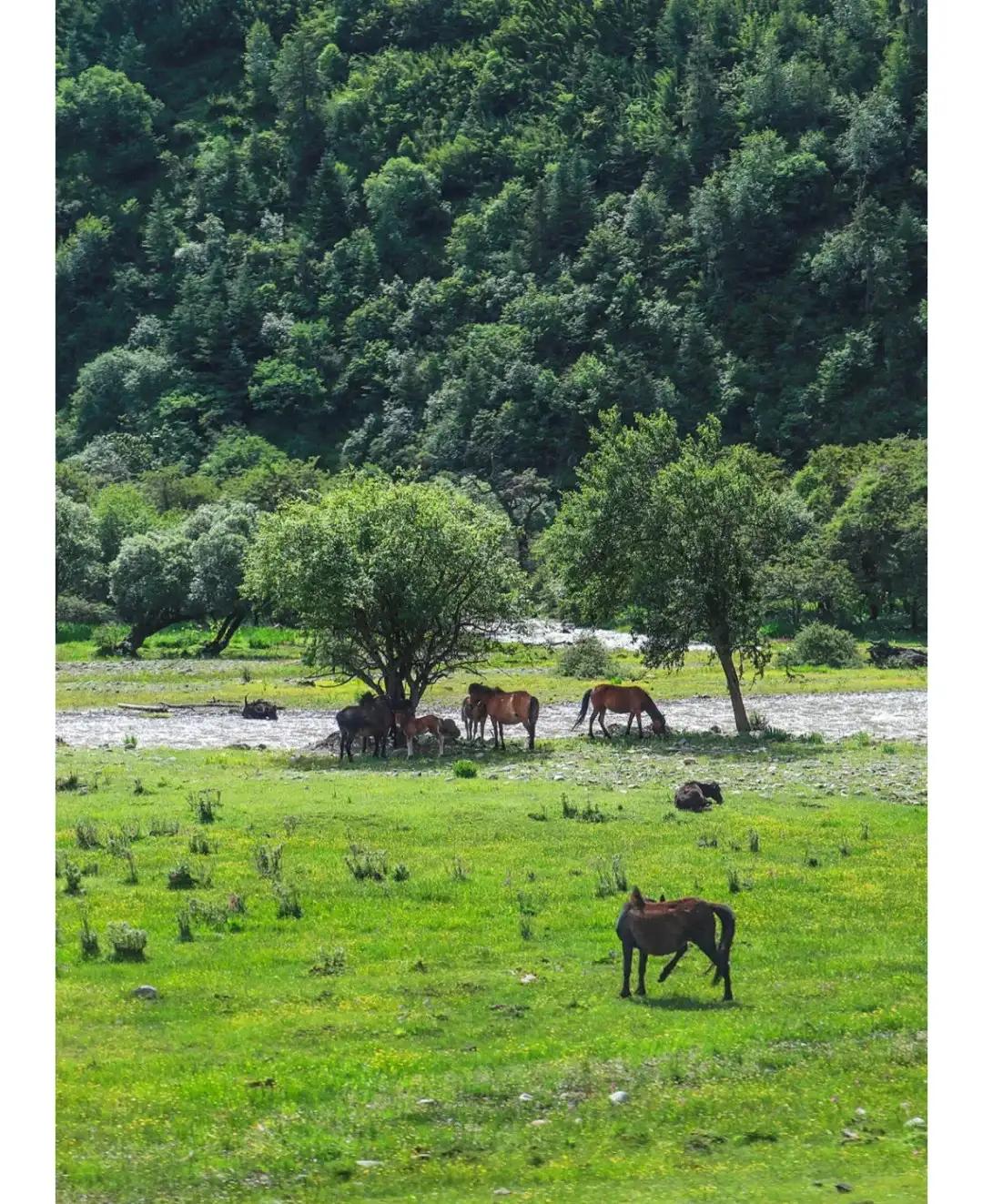 香格里拉十大景点推荐英文,香格里拉的十大最好景点