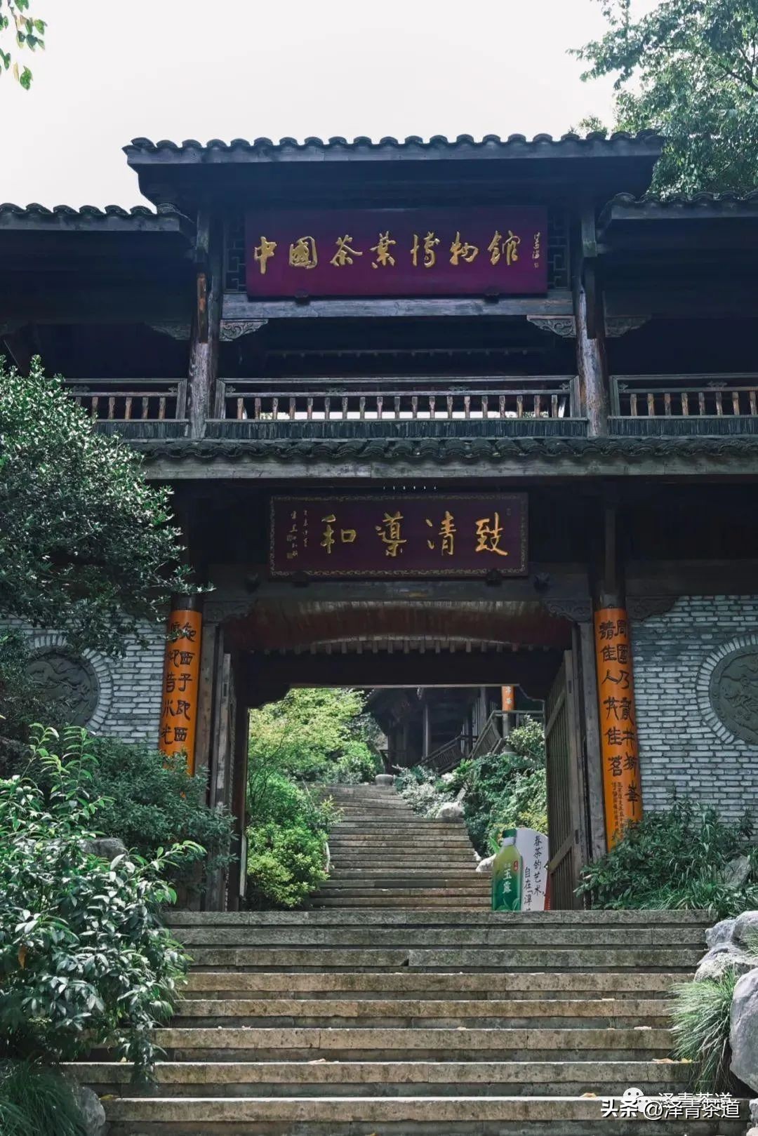 中国茶叶第一产茶大省,陕西中国茶叶第一大省