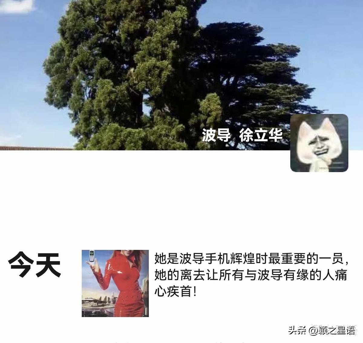 李玟波导手机广告赚了多少钱,coco李玟波导手机广告